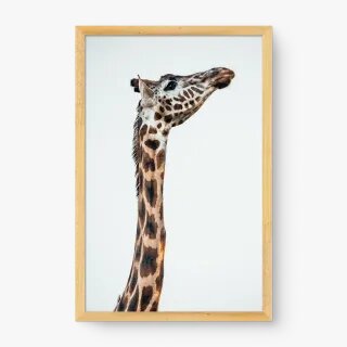 quadro decorativo quadro decorativo
