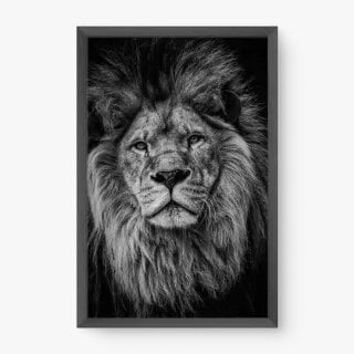 quadro decorativo quadro decorativo