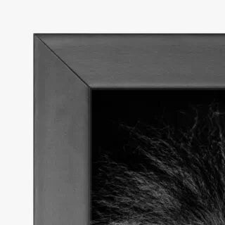 quadro decorativo quadro decorativo