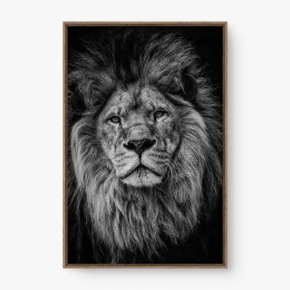 quadro decorativo quadro decorativo