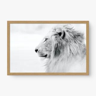 quadro decorativo quadro decorativo