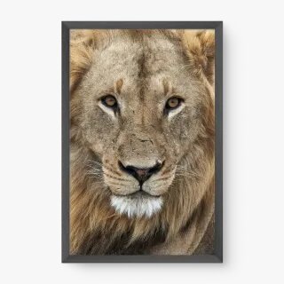 quadro decorativo quadro decorativo