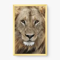 Quadro Decorativo True Lion – Arte Animal Moderna