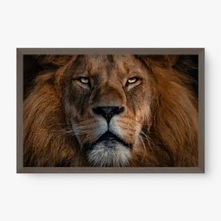 quadro decorativo quadro decorativo