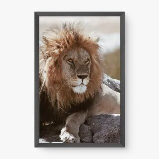 quadro decorativo quadro decorativo