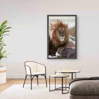 quadro decorativo quadro decorativo