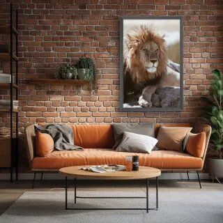 quadro decorativo quadro decorativo