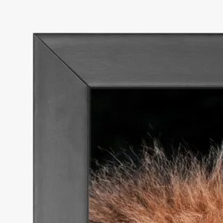 quadro decorativo quadro decorativo