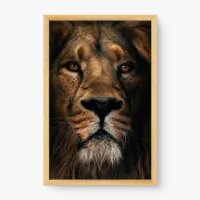 Quadro Decorativo Close no Leão I – Quadro Leão Imponente