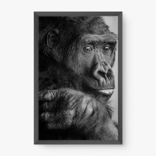 quadro decorativo quadro decorativo