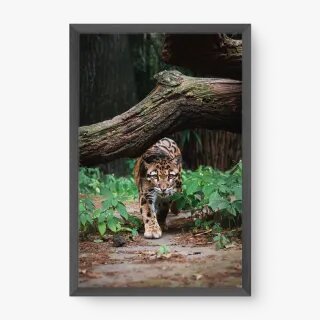 quadro decorativo quadro decorativo