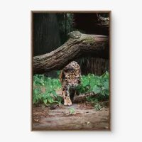 Quadro Decorativo Ronda da Onça – Arte Animal Moderna