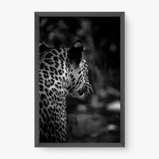 quadro decorativo quadro decorativo