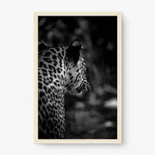 quadro decorativo quadro decorativo