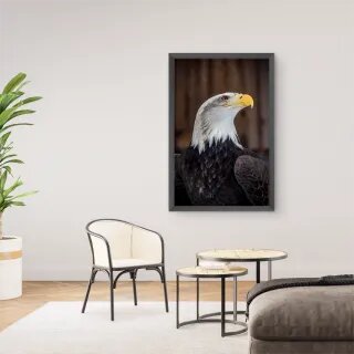 quadro decorativo quadro decorativo