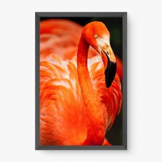 quadro decorativo quadro decorativo