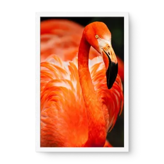 quadro decorativo quadro decorativo