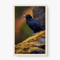 Quadro Decorativo Corvo no Campo – Arte Misteriosa e Elegante