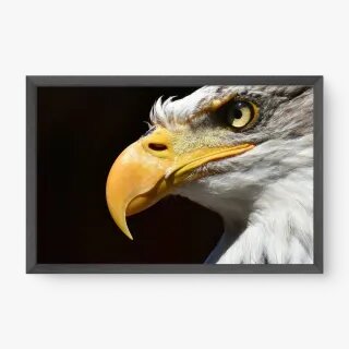 quadro decorativo quadro decorativo