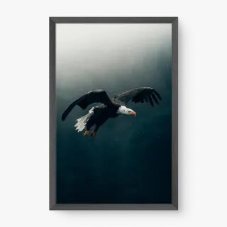 quadro decorativo quadro decorativo