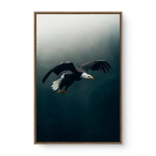 quadro decorativo quadro decorativo