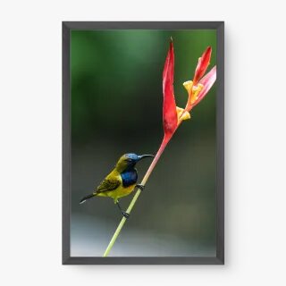 quadro decorativo quadro decorativo