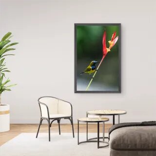 quadro decorativo quadro decorativo