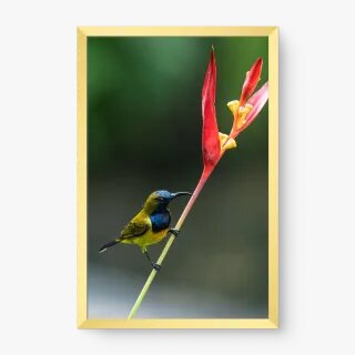 quadro decorativo quadro decorativo
