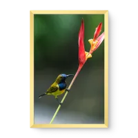 Quadro Decorativo Beija-Flor com Amarílis – Arte Leve e Natural