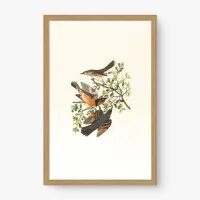 Quadro Decorativo Trio de Pássaros – Arte Natural e Serena