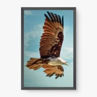 quadro decorativo quadro decorativo