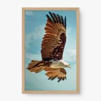 Quadro Decorativo Sobre as Asas da Águia – Arte Inspiradora