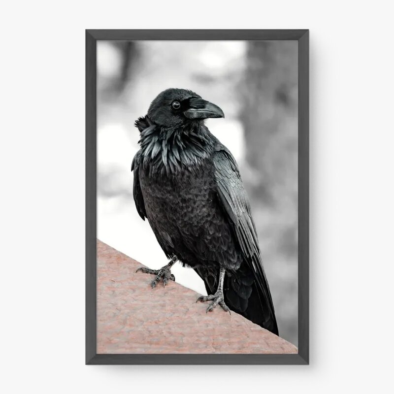 quadro decorativo quadro decorativo