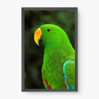 quadro decorativo quadro decorativo