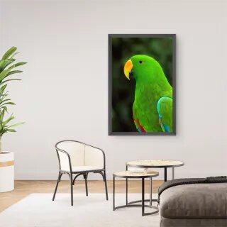 quadro decorativo quadro decorativo