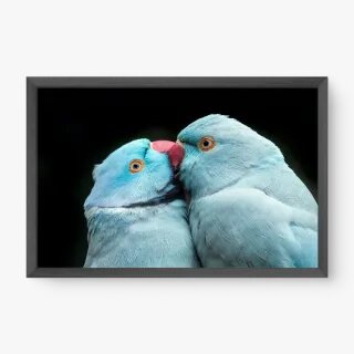 quadro decorativo quadro decorativo
