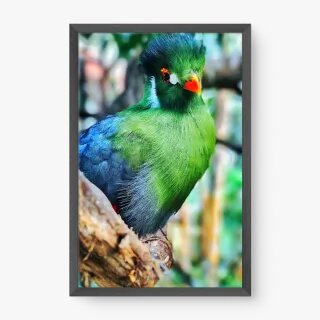 quadro decorativo quadro decorativo