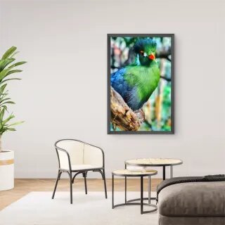 quadro decorativo quadro decorativo