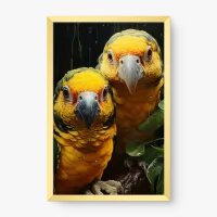 Quadro Decorativo Casal Papagaio-galego - Quadros de animais Quadro Decorativo Casal Papagaio-galego - Quadros de animais