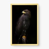 Quadro Decorativo Águia Real – Arte de Força e Liberdade