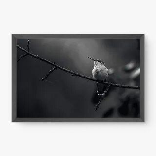 quadro decorativo quadro decorativo