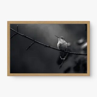 quadro decorativo quadro decorativo