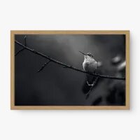 Quadro Decorativo Arco-Íris PB – Arte Minimalista e Poética