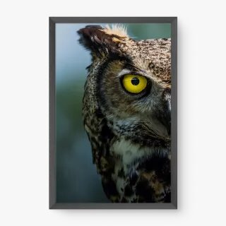 quadro decorativo quadro decorativo