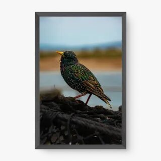 quadro decorativo quadro decorativo