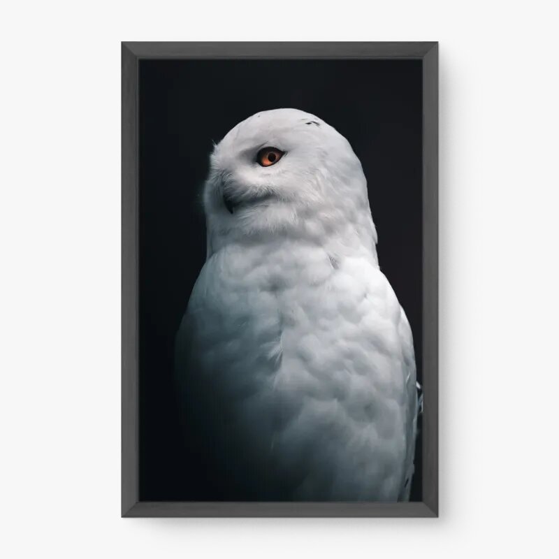 quadro decorativo quadro decorativo
