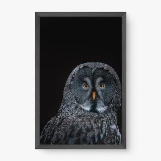 quadro decorativo quadro decorativo