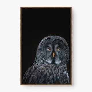 quadro decorativo quadro decorativo