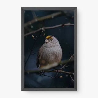 quadro decorativo quadro decorativo