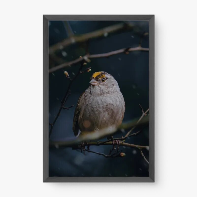 quadro decorativo quadro decorativo
